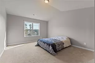 46 Bella Howington Dr, Lillington, NC 27546 - Photo 14