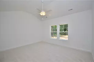 346 D L Phillips Ln Lot 3, Broadway, NC 27505 - Photo 16