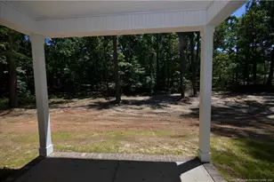 346 D L Phillips Ln Lot 3, Broadway, NC 27505 - Photo 34