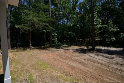 346 D L Phillips (Lot 3) Lane, Broadway, NC 27505 - Photo 36