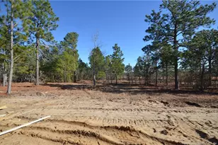 270 D L Phillips Ln Lot 4, Broadway, NC 27505 - Photo 4