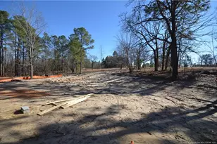302 D L Phillips Ln Lot 1, Broadway, NC 27505 - Photo 4