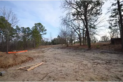 302 D L Phillips (Lot 1) Lane, Broadway, NC 27505 - Photo 8