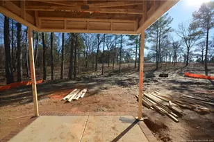 324 D L Phillips Ln Lot 2, Broadway, NC 27505 - Photo 2