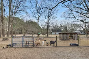 5725 McDonald Rd, Parkton, NC 28371 - Photo 40