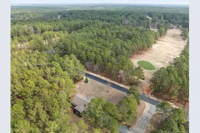 30080 Deercroft Drive, Wagram, NC 28396 - Photo 42