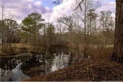 616 Deep Branch Road, Lumberton, NC 28360 - Photo 22