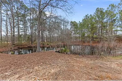 5456 Butler Nursery Road, Fayetteville, NC 28306 - Photo 38