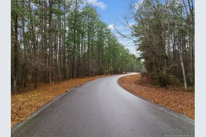 221 Pebble Drive, West End, NC 27376 - Photo 1