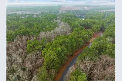 221 Pebble Drive, West End, NC 27376 - Photo 4