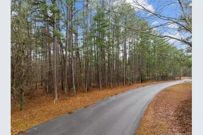 221 Pebble Drive, West End, NC 27376 - Photo 2