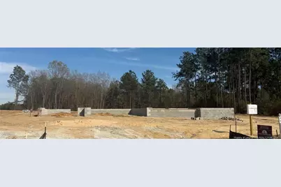 1959 Thomas Wood (Lot 94) Drive, Fayetteville, NC 28306 - Photo 2