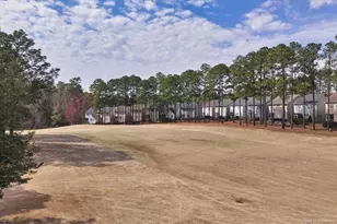 10 Heatherspring Way, Spring Lake, NC 28390 - Photo 46