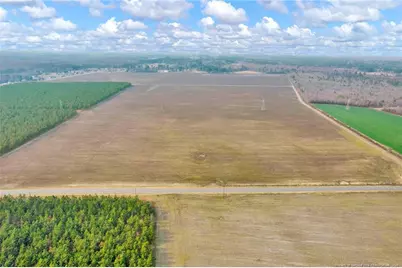 00 Paddow Meadows (Lot 12) Road, Red Springs, NC 28377 - Photo 16