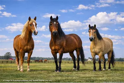 00 Paddock Meadows (Lot 13) Road, Red Springs, NC 28377 - Photo 24