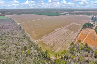 00 Paddock Meadows (Lot 13) Road, Red Springs, NC 28377 - Photo 22