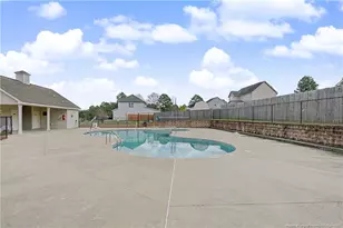 41 Black Diamond Ct, Lillington, NC 27546 - Photo 48