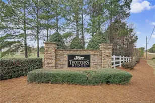 41 Black Diamond Ct, Lillington, NC 27546 - Photo 46