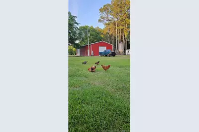 732 County Line Road, Roseboro, NC 28382 - Photo 28
