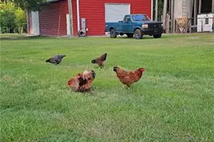 732 County Line Rd, Roseboro, NC 28382 - Photo 28