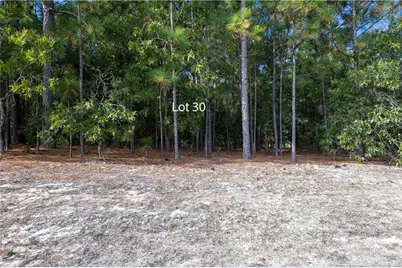 Old Tom Morris Road, Garland, NC 28441 - Photo 4