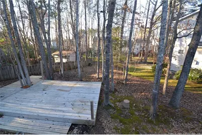 900 Creek Haven Drive, Holly Springs, NC 27540 - Photo 48