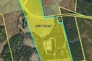 4754 Berry Lewis Rd, Bladenboro, NC 28320 - Photo 2