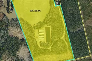 4754 Berry Lewis Rd, Bladenboro, NC 28320 - Photo 4