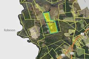 4754 Berry Lewis Rd, Bladenboro, NC 28320 - Photo 2