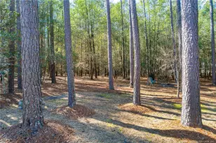 996 Point Hill Dr, Fayetteville, NC 28306 - Photo 38