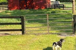 449 Montrose Rd, Raeford, NC 28376 - Photo 2