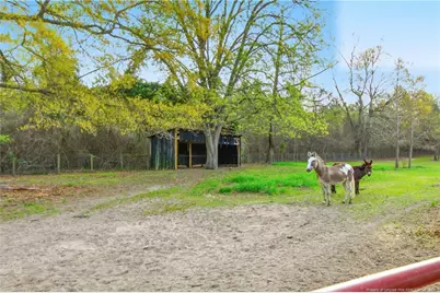 449 Montrose Road, Raeford, NC 28376 - Photo 36