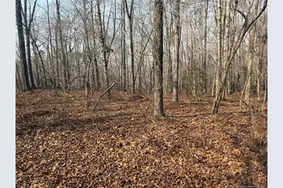 15B Winners Circ Lane, Carthage, NC 28327 - Photo 1