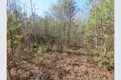 Glory Light Road, Fairmont, NC 28340 - Photo 4