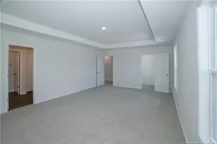 68 Mossy Brg Ct, Lillington, NC 27546 - Photo 18