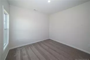 68 Mossy Brg Ct, Lillington, NC 27546 - Photo 28