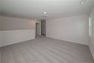 110 Mossy Brg Ct, Lillington, NC 27546 - Photo 28