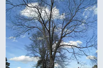 149 National Drive, Parkton, NC 28371 - Photo 22