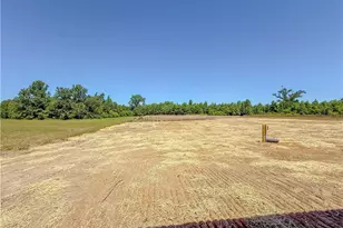 3987 Blue Springs Rd Lot 5, Red Springs, NC 28377 - Photo 10