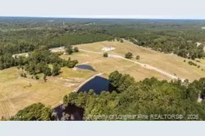 395 Atkins Road, Cameron, NC 28326 - Photo 2