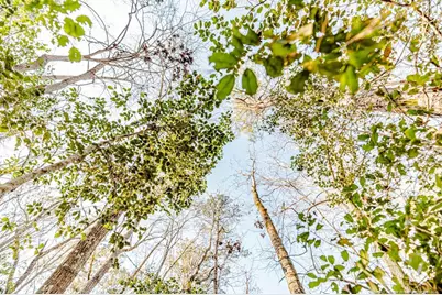 2027 Long Point Trail, Sanford, NC 27332 - Photo 2