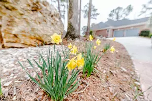 2009 Traceway N, Sanford, NC 27332 - Photo 46