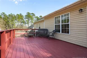 159 Whistling Pine Dr, Raeford, NC 28376 - Photo 34