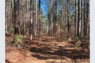 0 Tempting Church Road, Sanford, NC 27330 - Photo 2