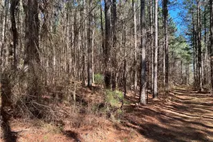 0 Tempting Church Rd, Sanford, NC 27330 - Photo 1