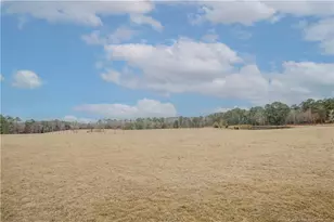 480 Blakely Rd, Sanford, NC 27332 - Photo 50