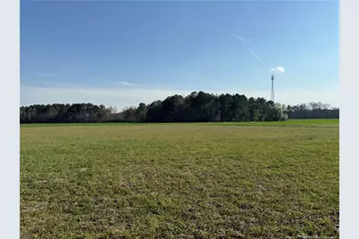 McQuage Road, Raeford, NC 28376 - Photo 4