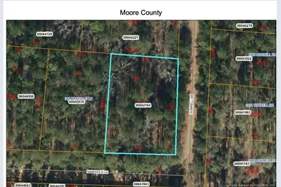 355 Marigold Lane, Vass, NC 28394 - Photo 6
