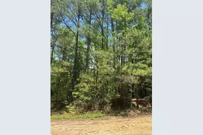 355 Marigold Lane, Vass, NC 28394 - Photo 4