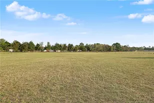 380 Sweet Grass Ln, Raeford, NC 28376 - Photo 50